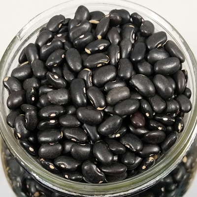 Haricots noirs biologiques QC - 5 kg
